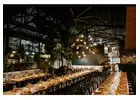Wedding Venue Brisbane