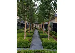 Landscaping Waverley | SK Landscape