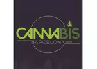 Best Cannabis Clubs in Barcelona - Cannabis Barcelona